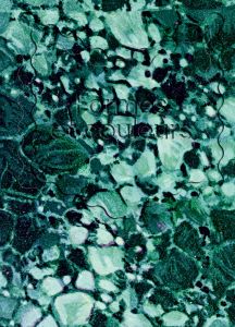 Formes et couleurs - Les arts décoratifs dans le fonds de livres anciens de l\'isdaT - institut supérieur des arts et du design de Toulouse