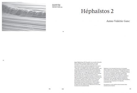 Cahiers mésozoaires