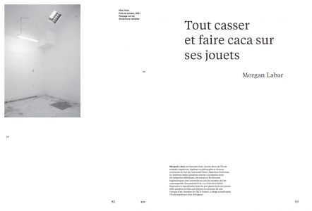 Cahiers mésozoaires