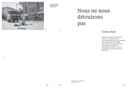 Cahiers mésozoaires