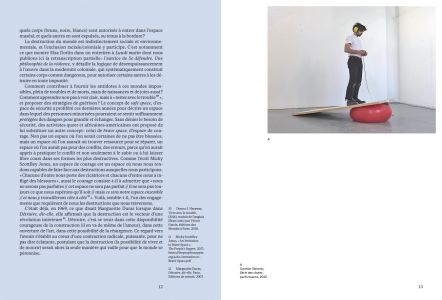 Cahiers mésozoaires