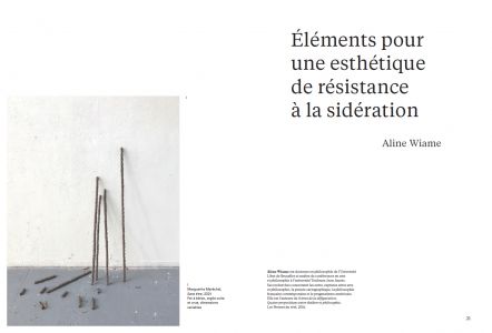 Cahiers mésozoaires