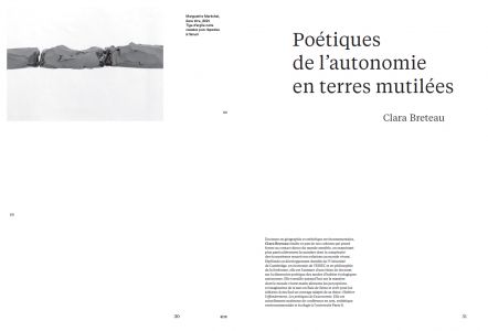 Cahiers mésozoaires