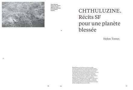 Cahiers mésozoaires