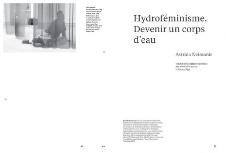 Cahiers mésozoaires