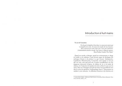 La perspective de la pomme