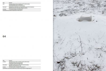 Rhizome Cupules Éclosion