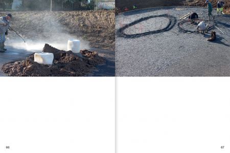 Rhizome Cupules Éclosion