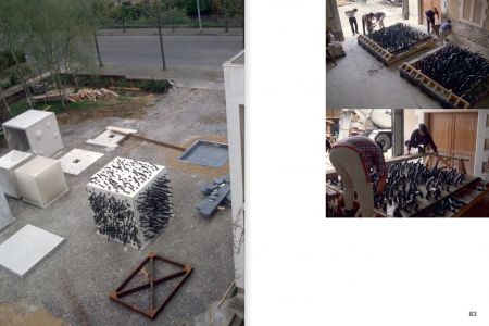 Rhizome Cupules Éclosion