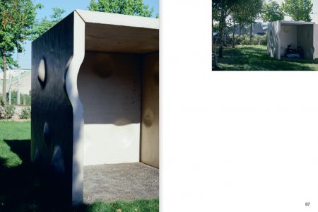 Rhizome Cupules Éclosion