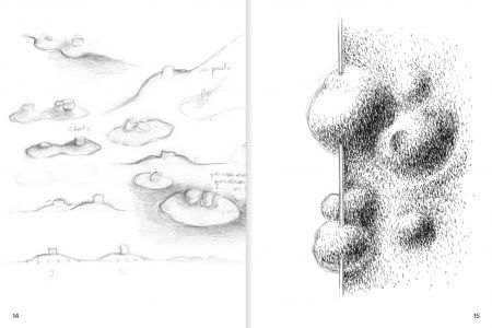 Rhizome Cupules Éclosion