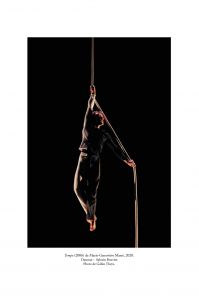 Fictions nécessaires