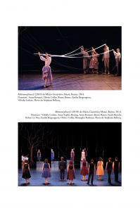 Fictions nécessaires