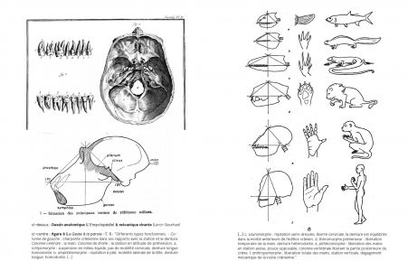 Du biface à l'interface