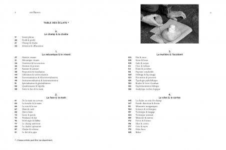 Du biface à l'interface