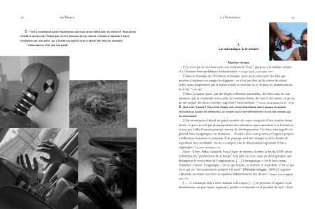 Du biface à l'interface