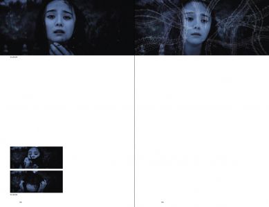 Le Portrait interdit (livre + Blu-Ray + DVD)