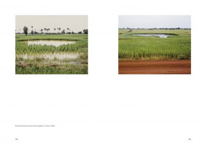 Le paysage après coup