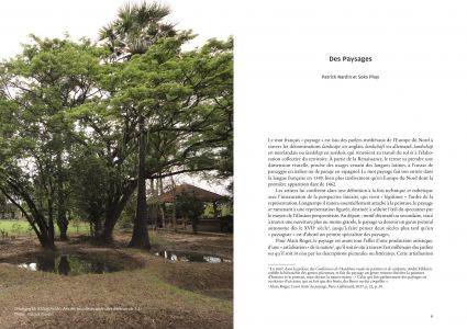 Le paysage après coup