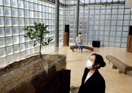 Nurturing Exhibitions (livre + 2 CD)