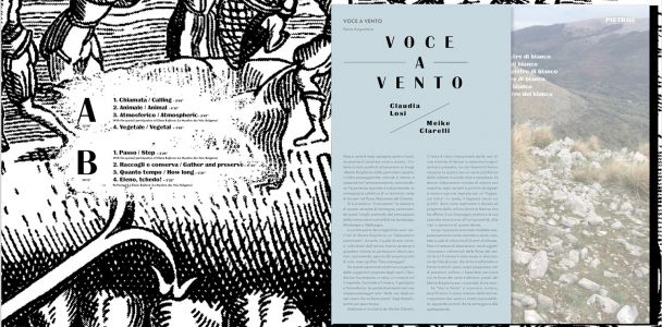 Voce a vento (livre + vinyl LP)