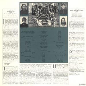 The Wanderer (vinyl LP)