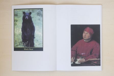 L'orso allo specchio