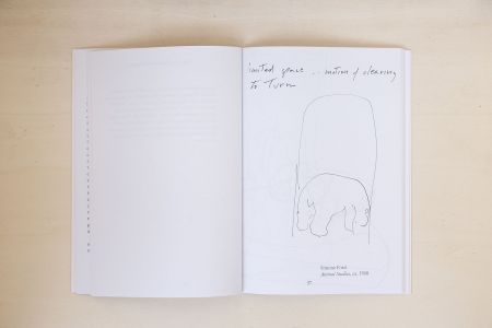 L'orso allo specchio