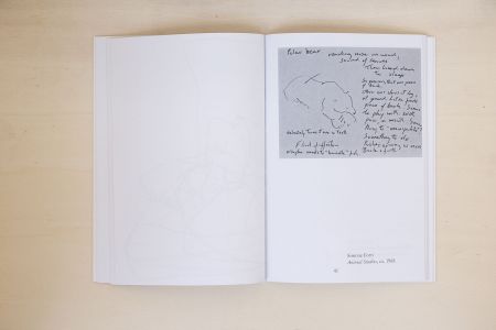 L'orso allo specchio