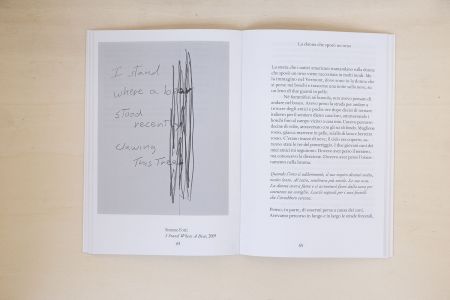 L'orso allo specchio