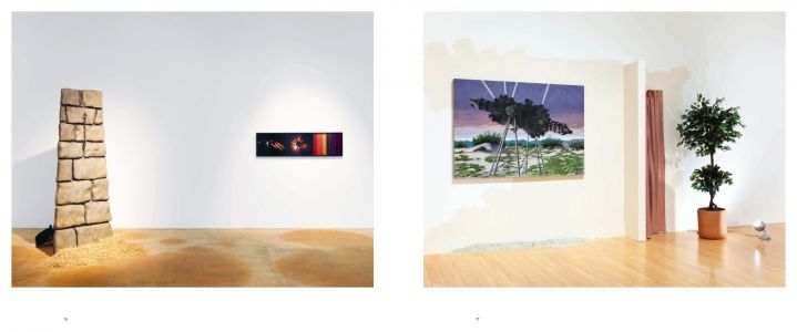 Installations, Plays, Video