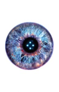 Paolo Cirio - Monitoring Control