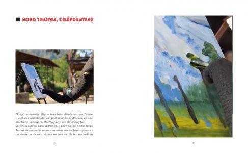 Julien Blaine présente quelques-uns de ses amis Animaux-&-artistes