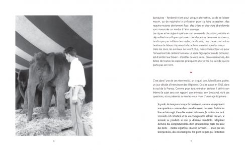 Julien Blaine présente quelques-uns de ses amis Animaux-&-artistes