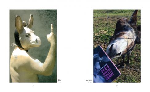 Julien Blaine présente quelques-uns de ses amis Animaux-&-artistes