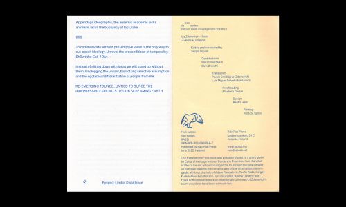 Le degré 41 sinapisé