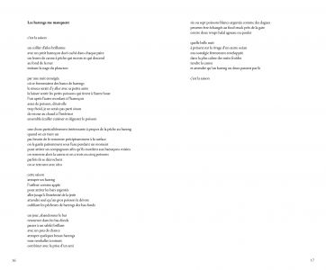 Manuel d'amour environnemental