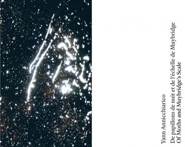 De papillons de nuit et de l'échelle de Muybridge